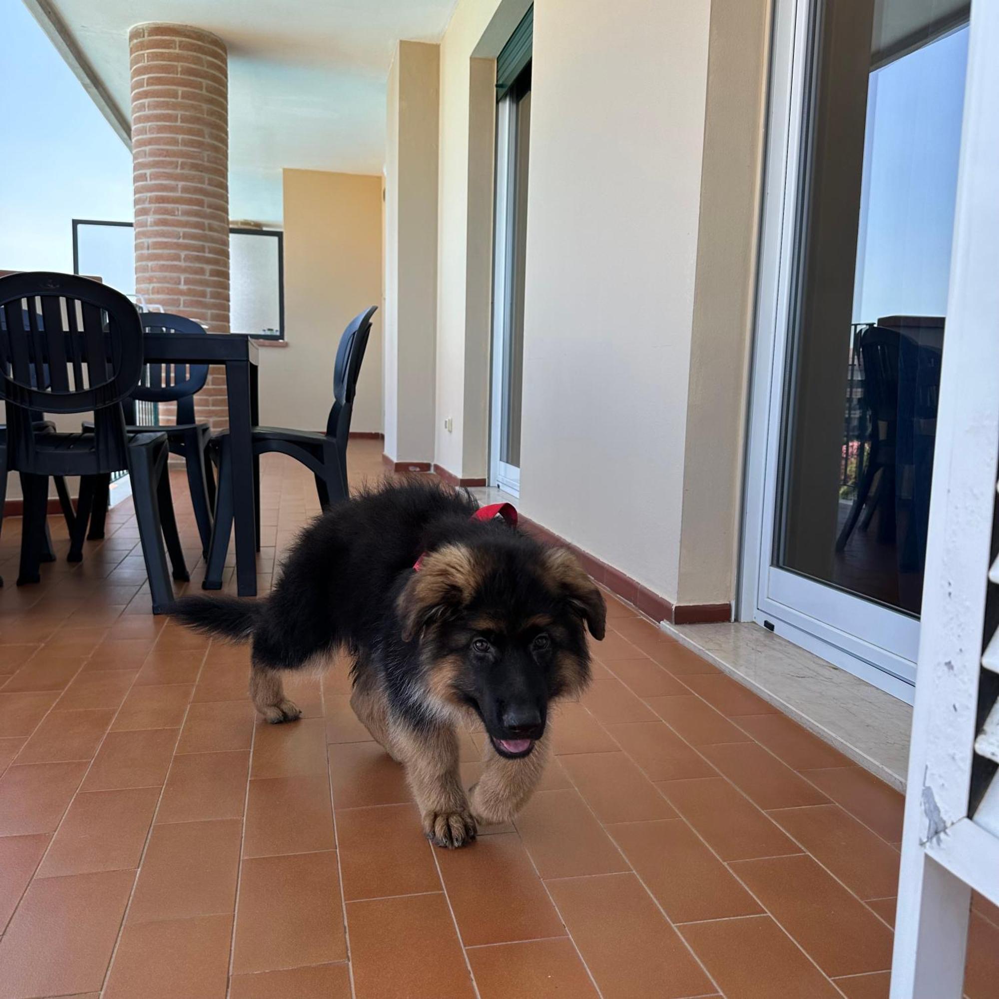 Le Residenze Di Santa Costanza - Le Dimore 2* San Vincenzo