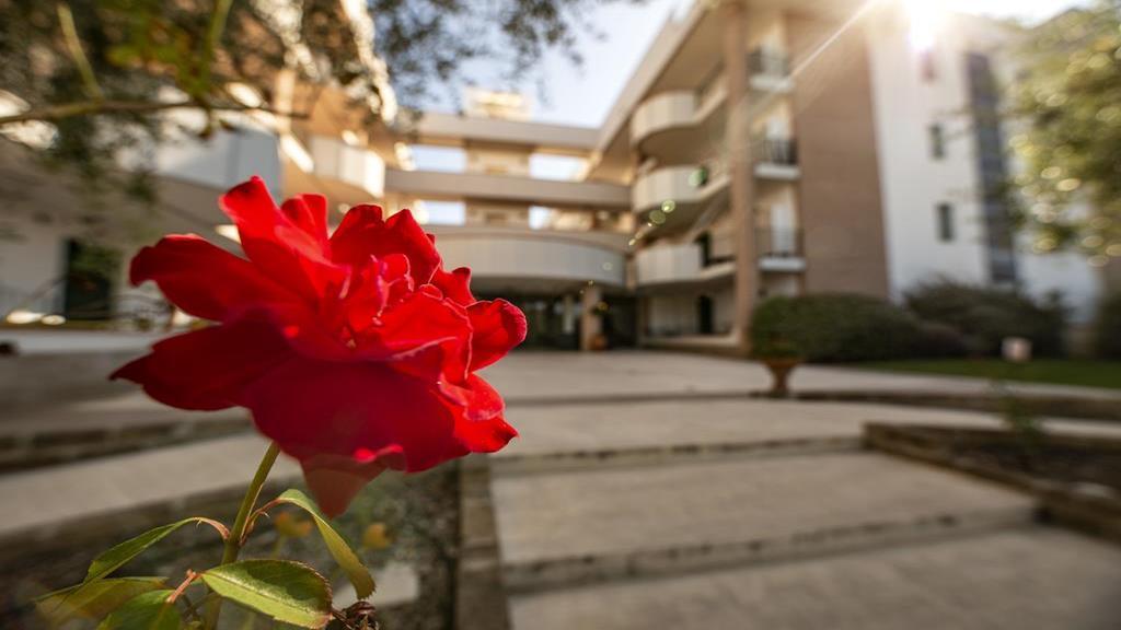 Le Residenze Di Santa Costanza - Le Dimore 2* San Vincenzo